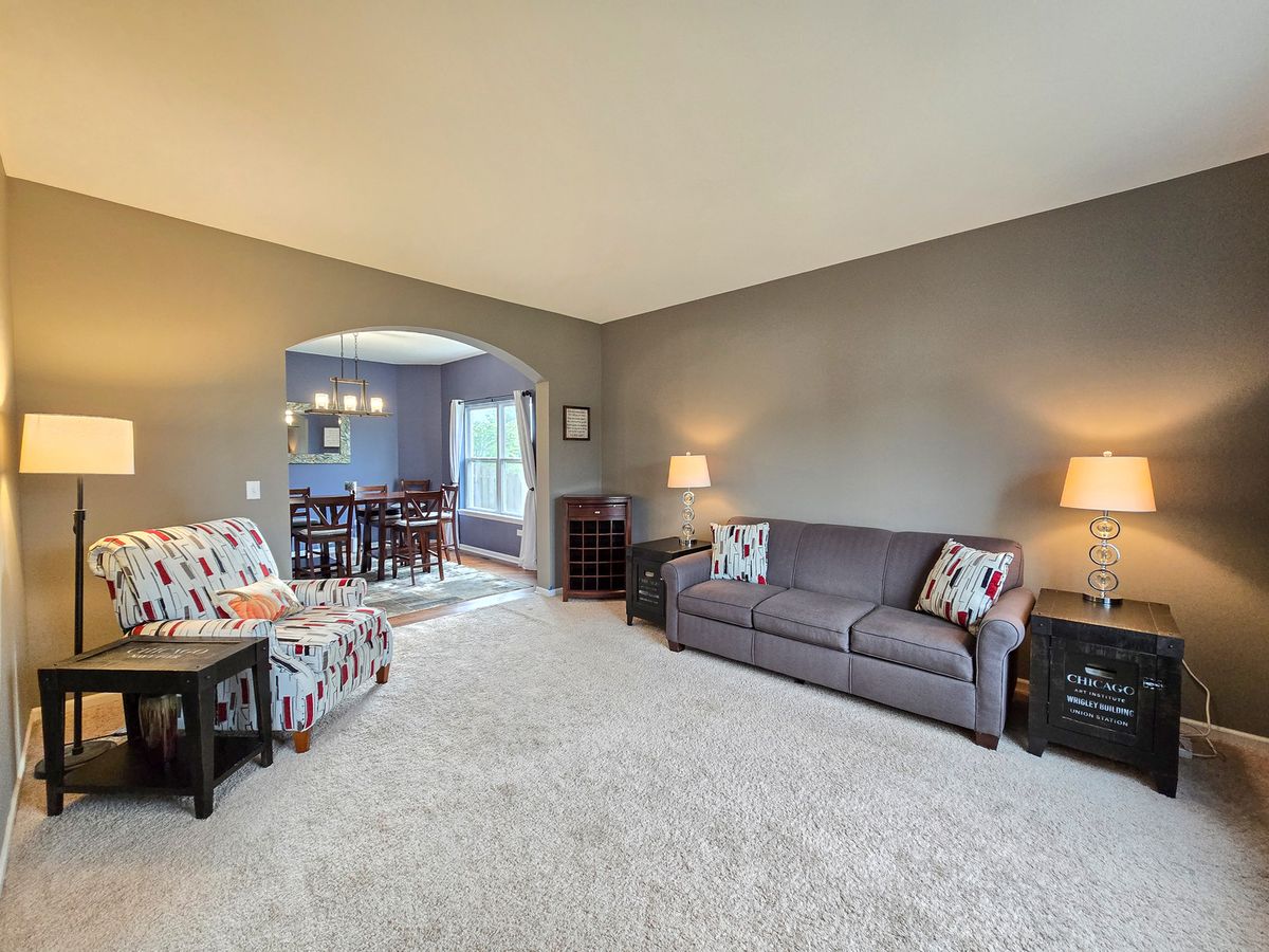 716 Sandpiper Dr, New Lenox, IL 60451 — photo 7
