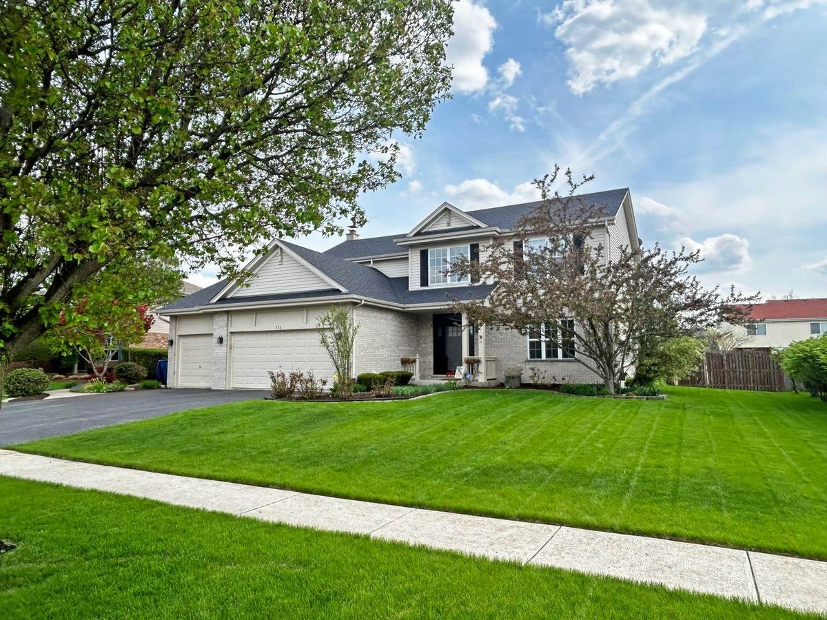 716 Sandpiper Dr, New Lenox, IL 60451 — photo 2