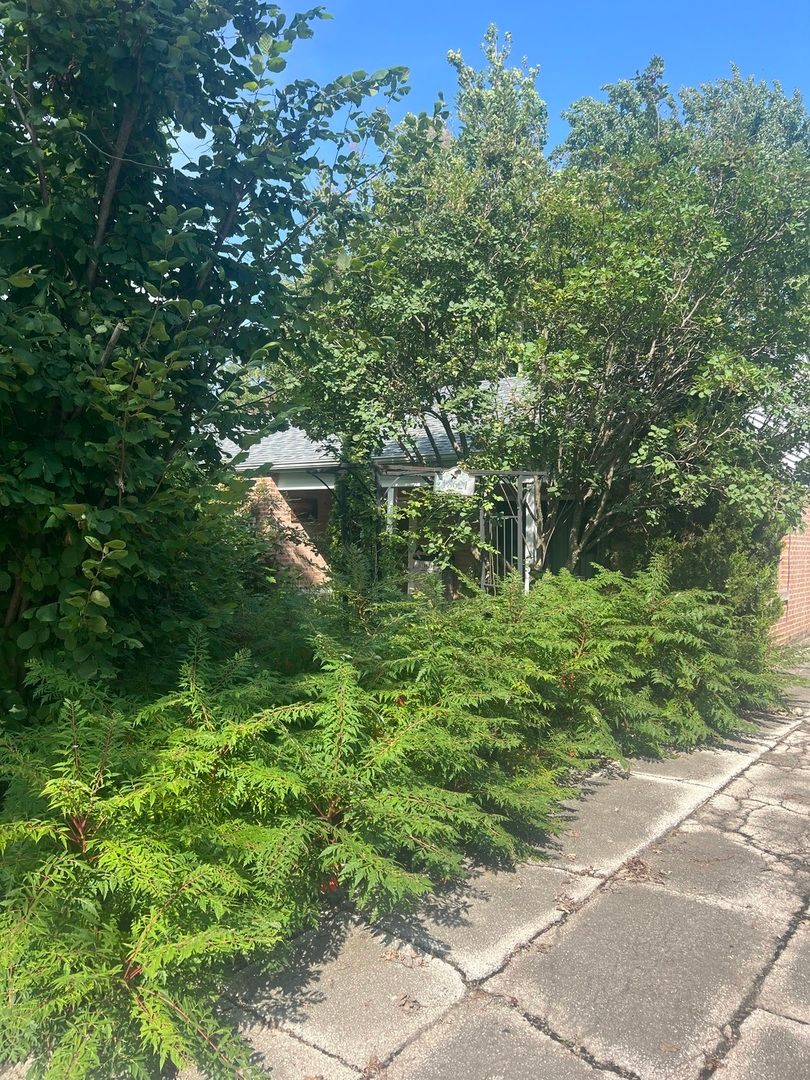 18621 Morris Ave, Homewood, IL 60430 — photo 4