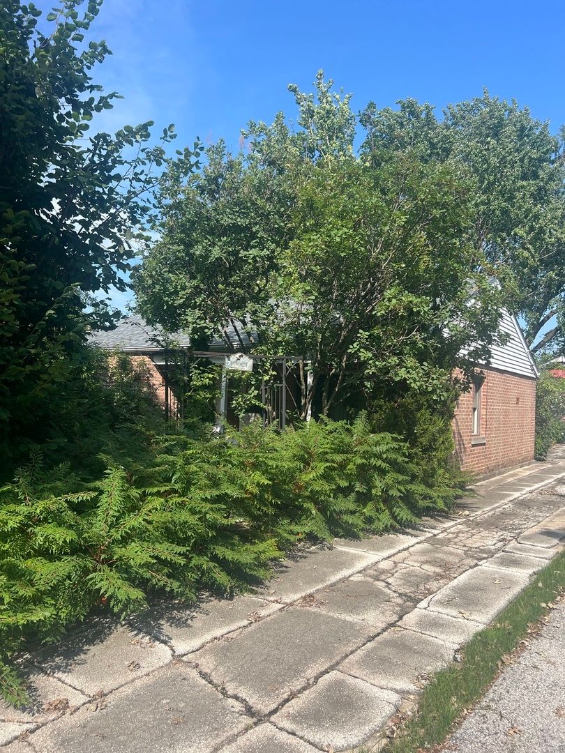 18621 Morris Ave, Homewood, IL 60430 — photo 2