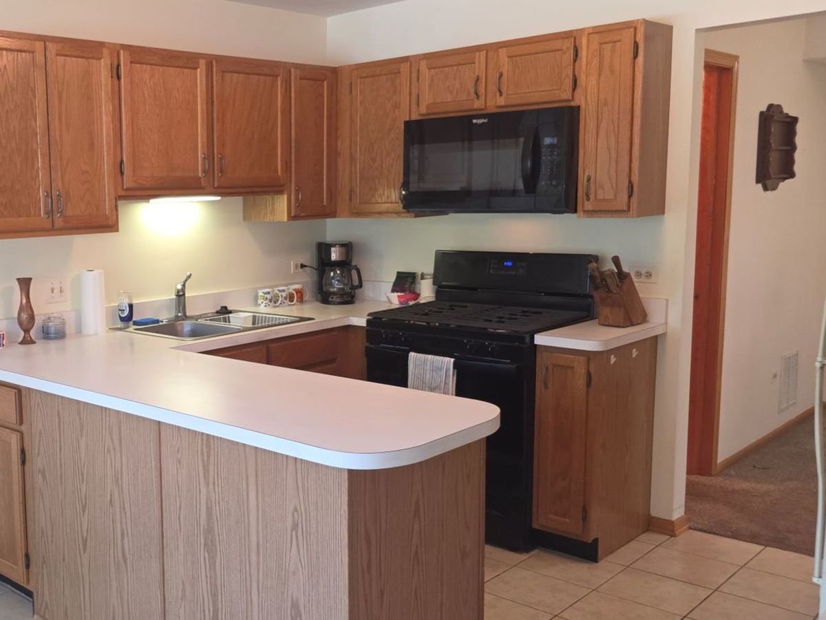 19860 Lakeview Way, Mokena, IL 60448 — photo 7
