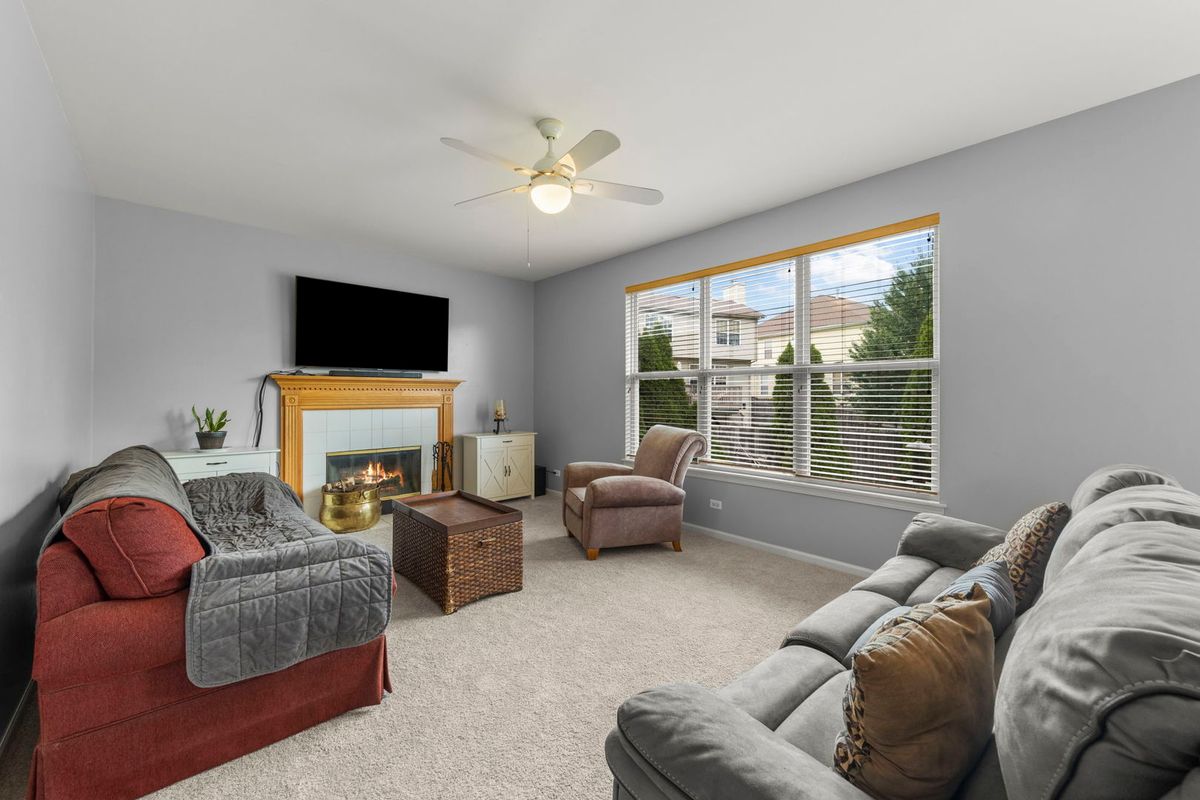 253 Carlton Mews Ct, Sugar Grove, IL 60554 — photo 7