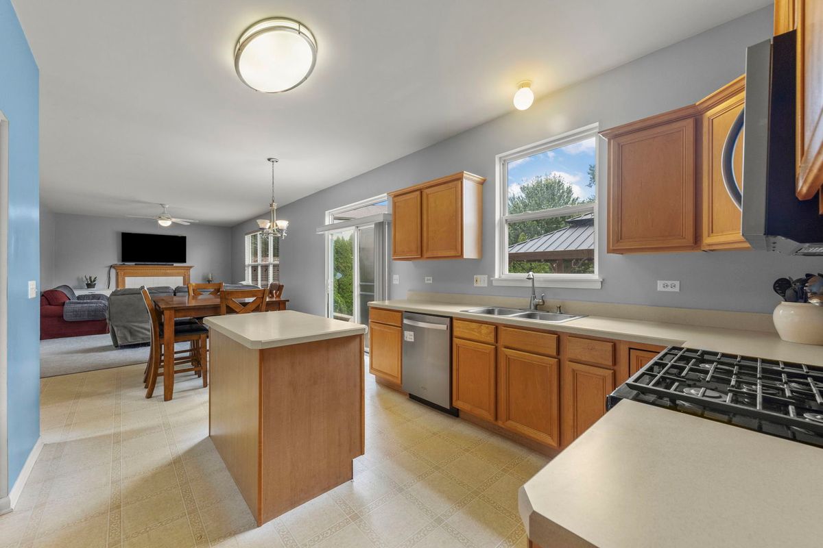 253 Carlton Mews Ct, Sugar Grove, IL 60554 — photo 5