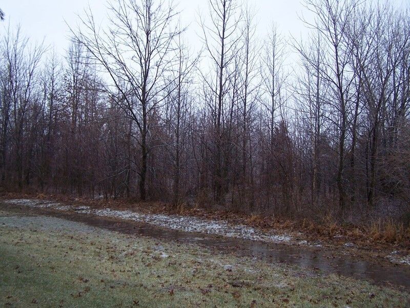 0000 ADAMS Drive — Marion, IL 62959