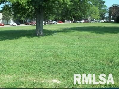 36 & 37 DELLA Street — Benton, IL 62812