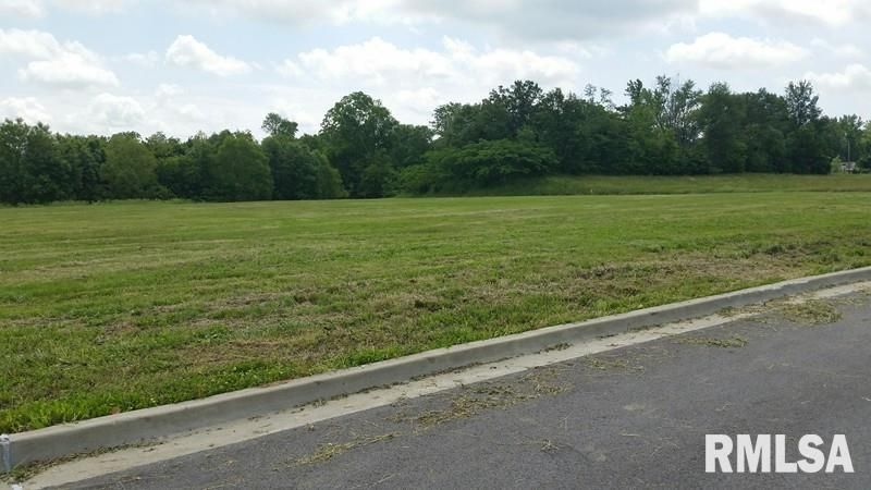 Lot 13 FINANCIAL Loop — Carbondale, IL 62901