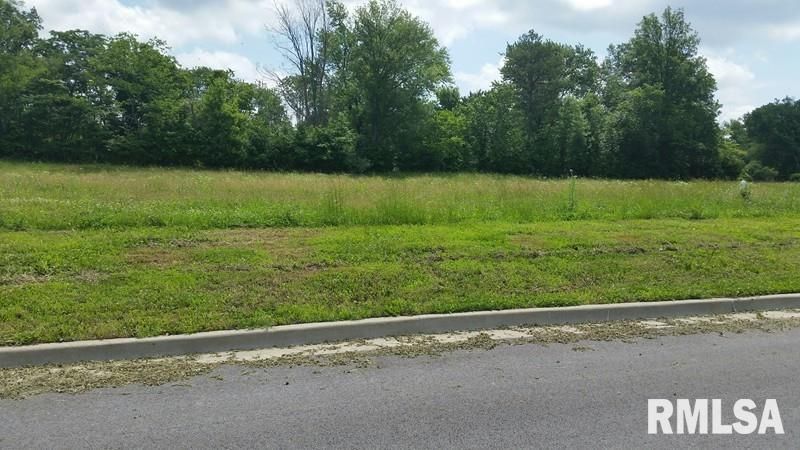 Lot 2 FINANCIAL, Carbondale, IL 62901