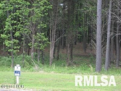 Lot 358 Parrish Ridge Lane, Goreville, IL 62939