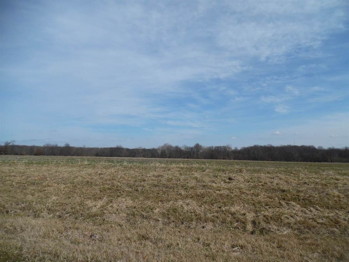 Tract 2 McDermott Lane, Mt Vernon, IL 62864