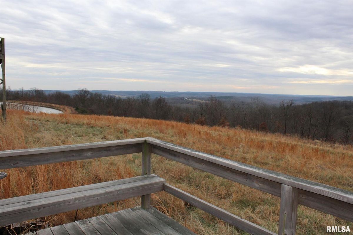 0000 Bruce Johnson Road, Herod, IL 62947