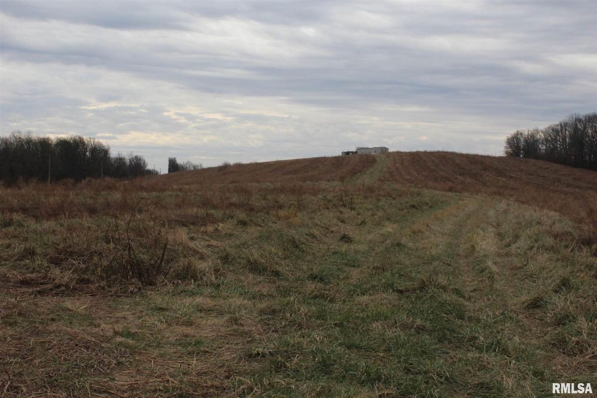 0000 Bruce Johnson Road, Herod, IL 62947