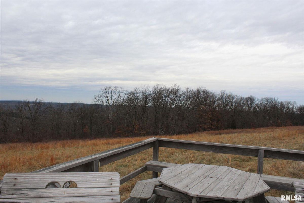 0000 Bruce Johnson Road, Herod, IL 62947
