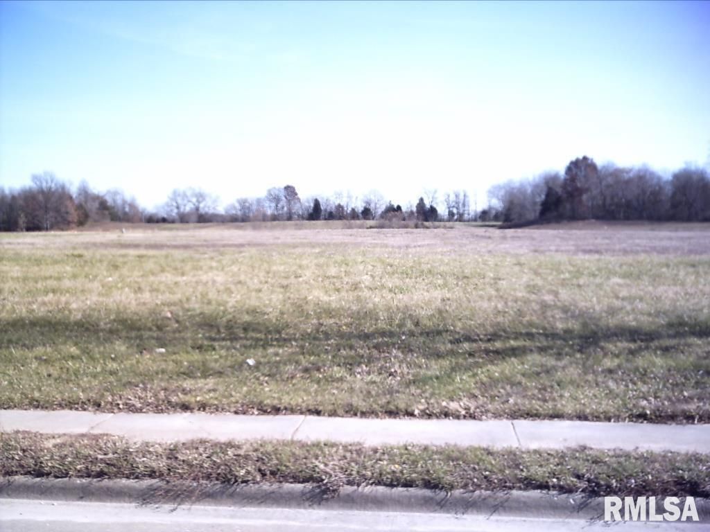 Lot 11 FINANCIAL Drive — Carbondale, IL 62901