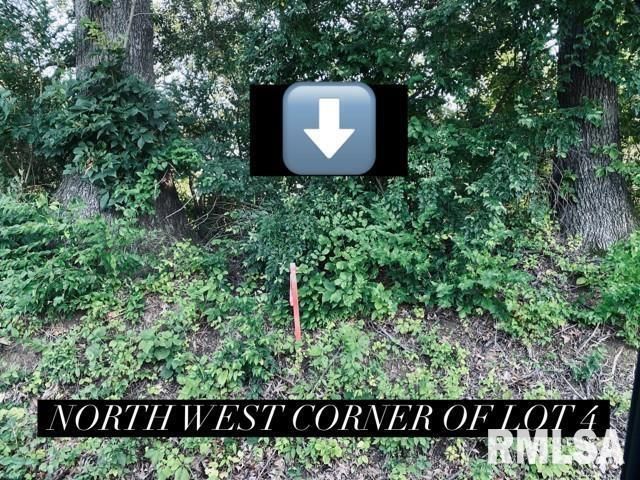 Lot 2 FALCON Road — Carbondale, IL 62901