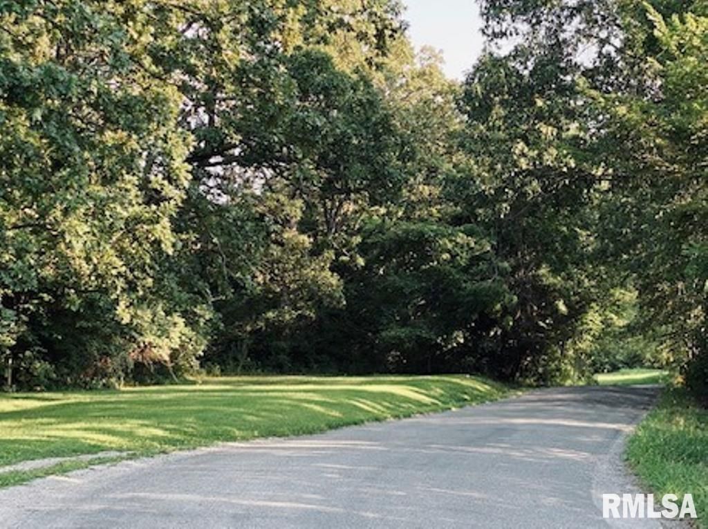 Lot 4 FALCON Road — Carbondale, IL 62901