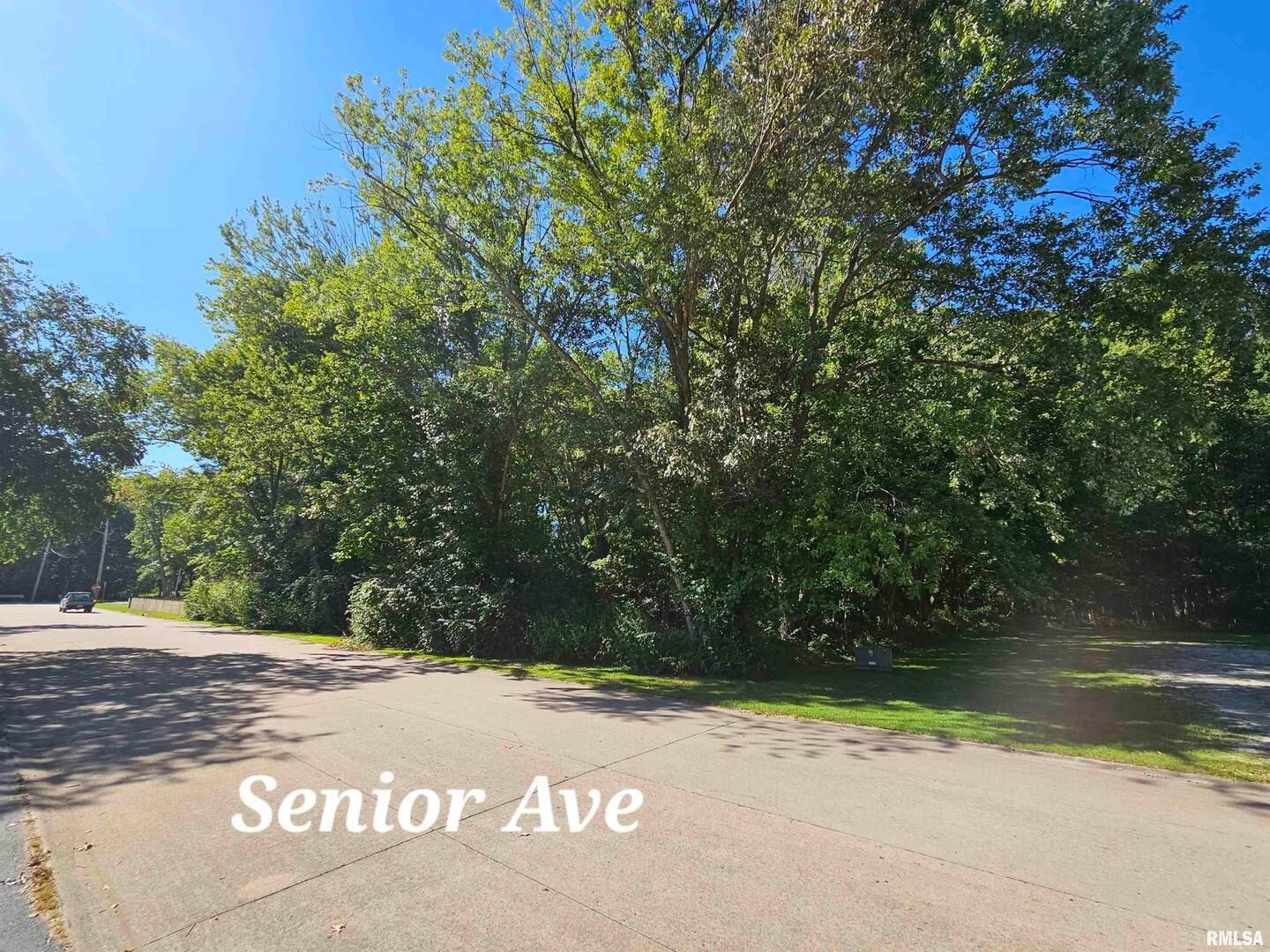 TBD Senior Avenue — Vienna, IL 62995