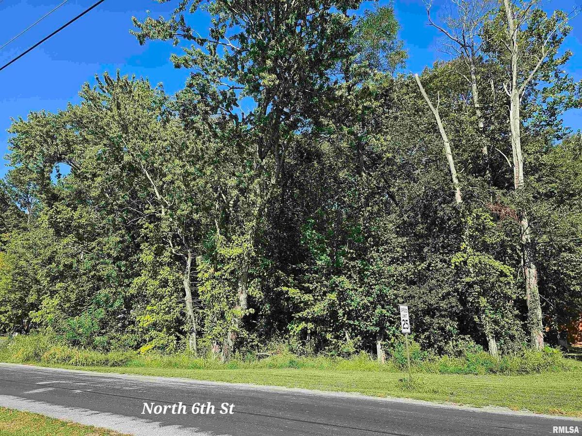 TBD 6TH Street, Vienna, IL 62995