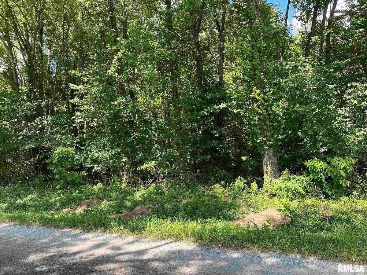 0000 4TH Street, Bluford, IL 62814