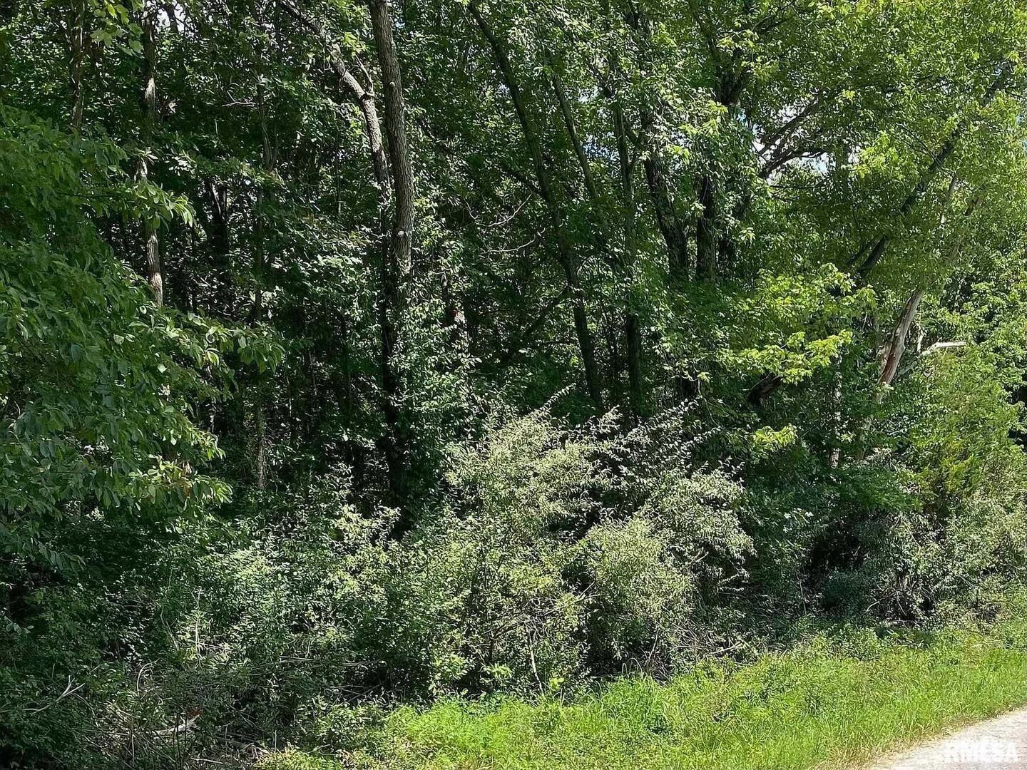 0000 4TH Street — Bluford, IL 62814