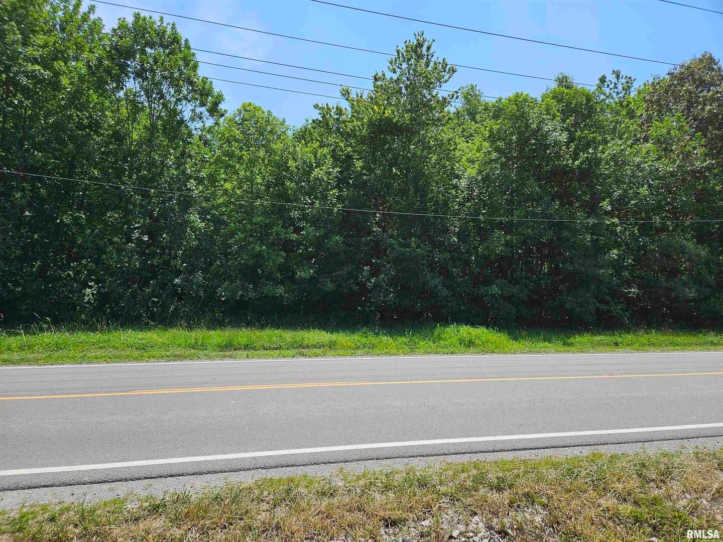000 S 51 Road S — Pulaski, IL 62976