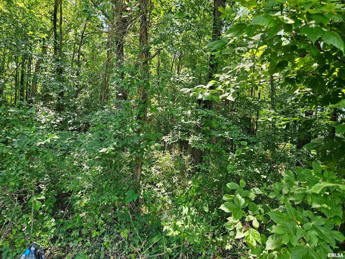 000 S 51 Road S, Pulaski, IL 62976
