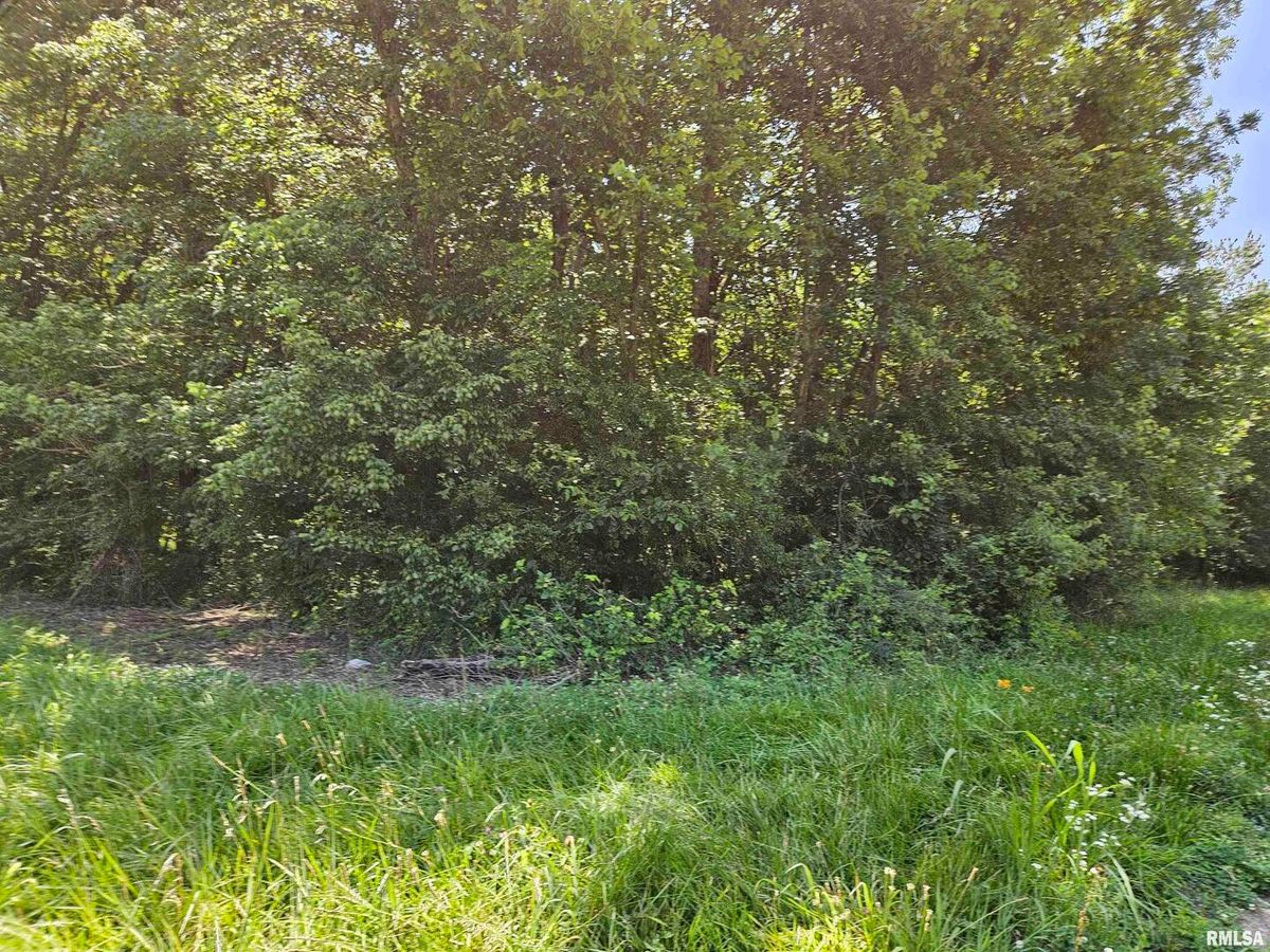 000 S 51 Road S, Pulaski, IL 62976