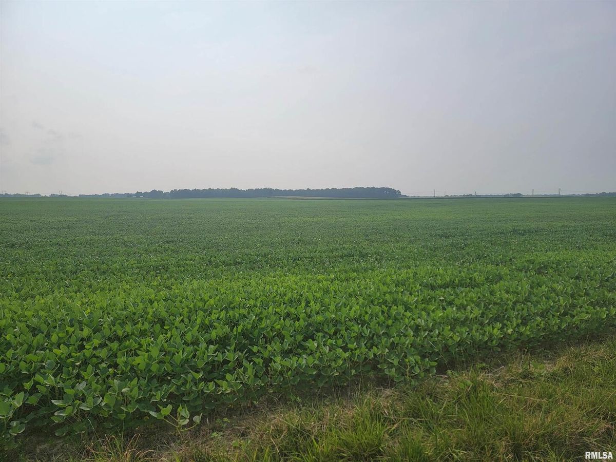 0 IRON Road, Louisville, IL 62858