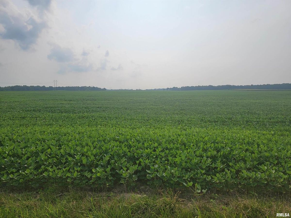 0 IRON Road, Louisville, IL 62858
