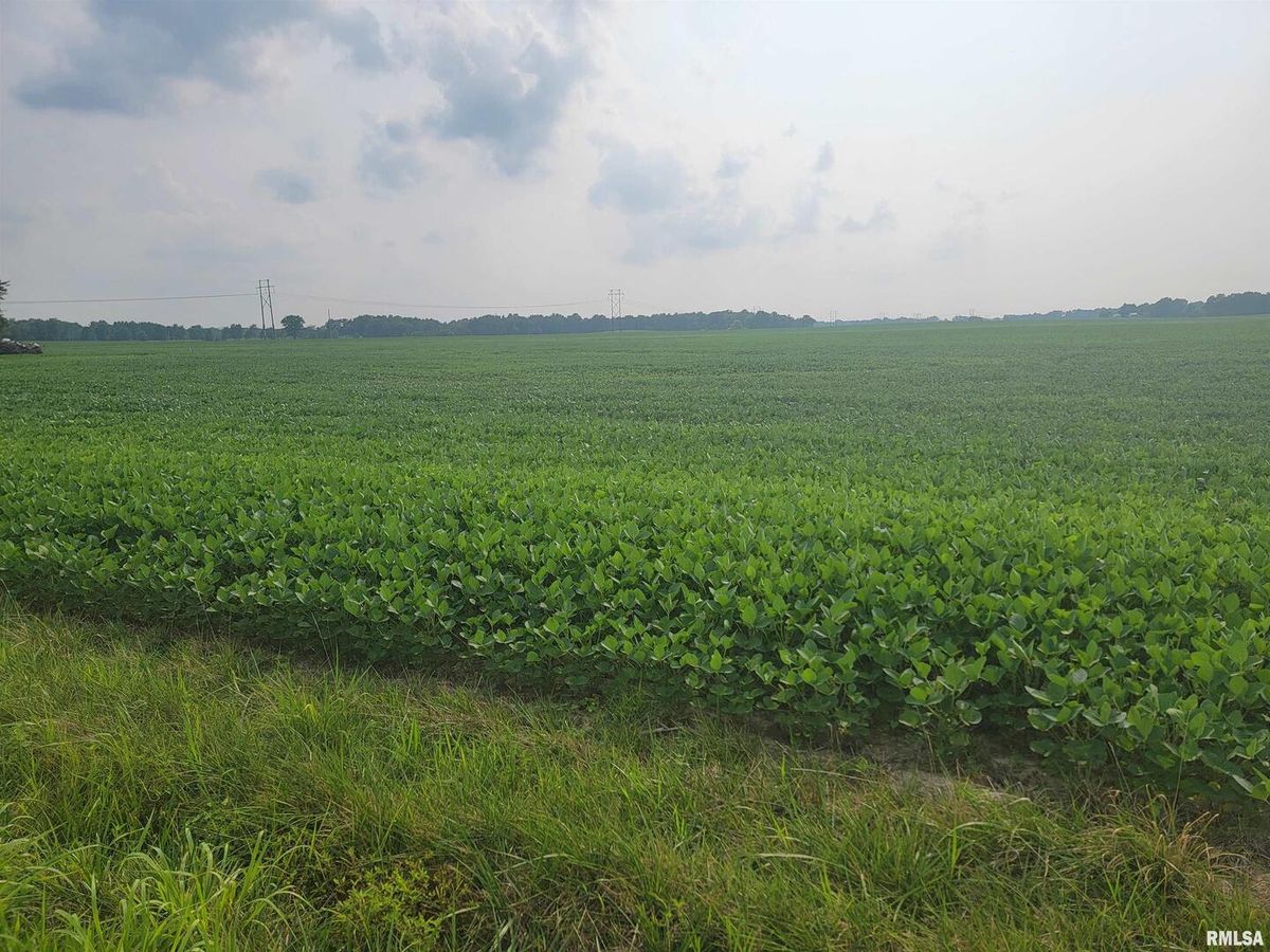 0 IRON Road, Louisville, IL 62858