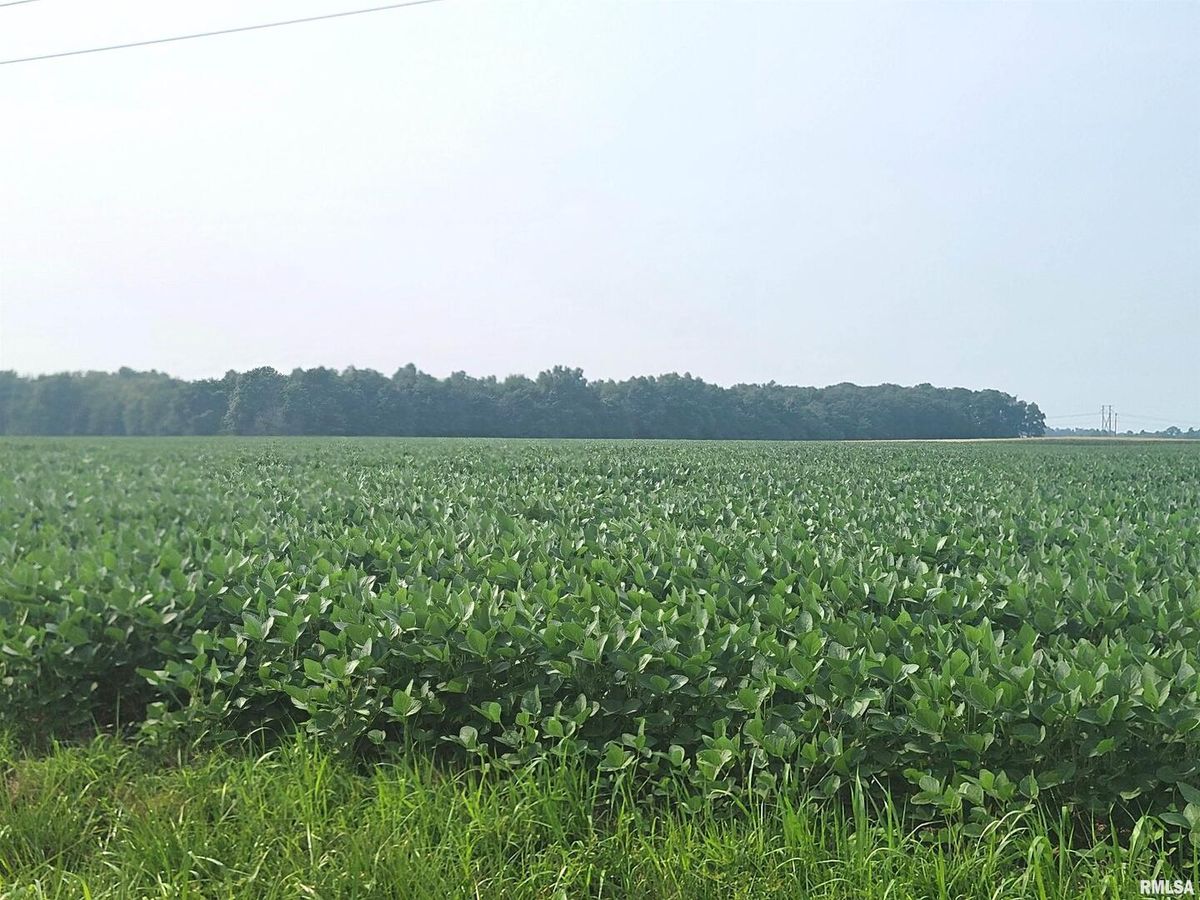 0 Gravel Lane, Louisville, IL 62858
