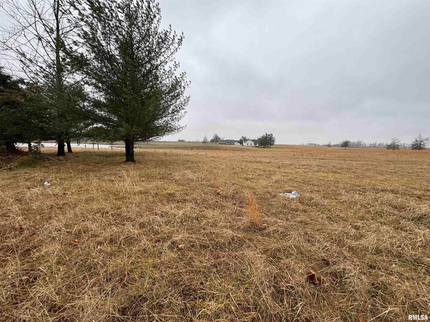 Lot 1&2 RALEIGH Road — Eldorado, IL 62930