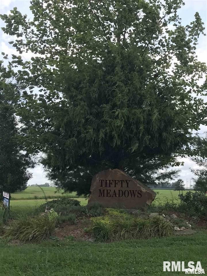 Lot 4 DOVE Lane — Eldorado, IL 62930