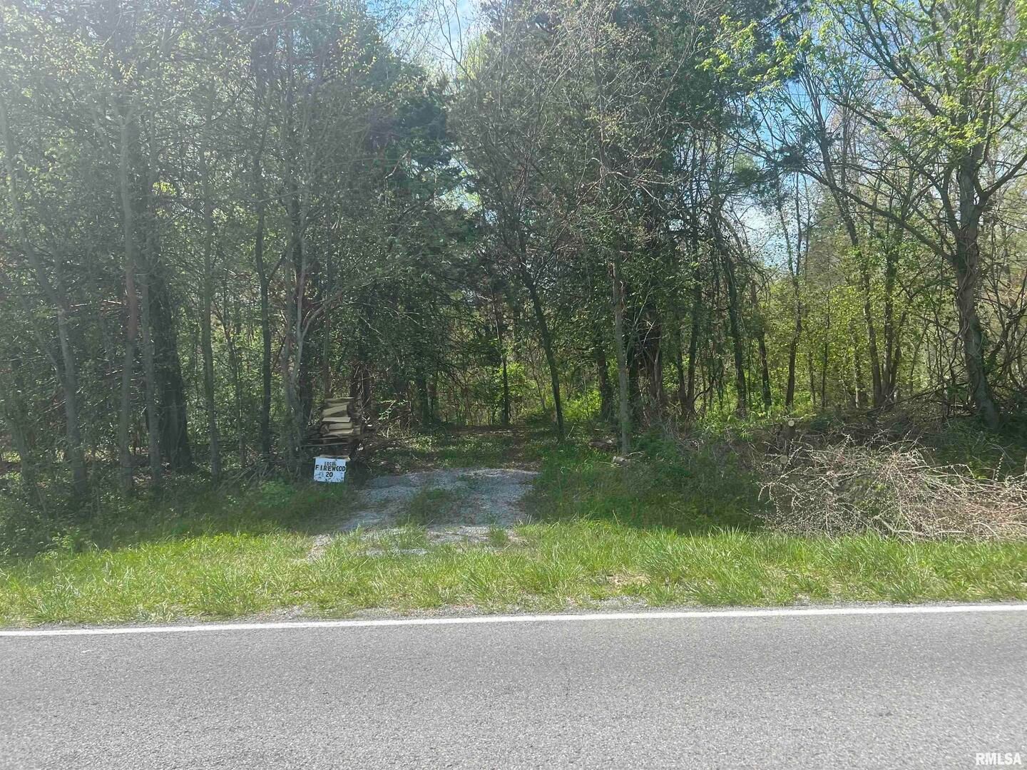 Lots 1 & 2 Grassy Road — IL 62901