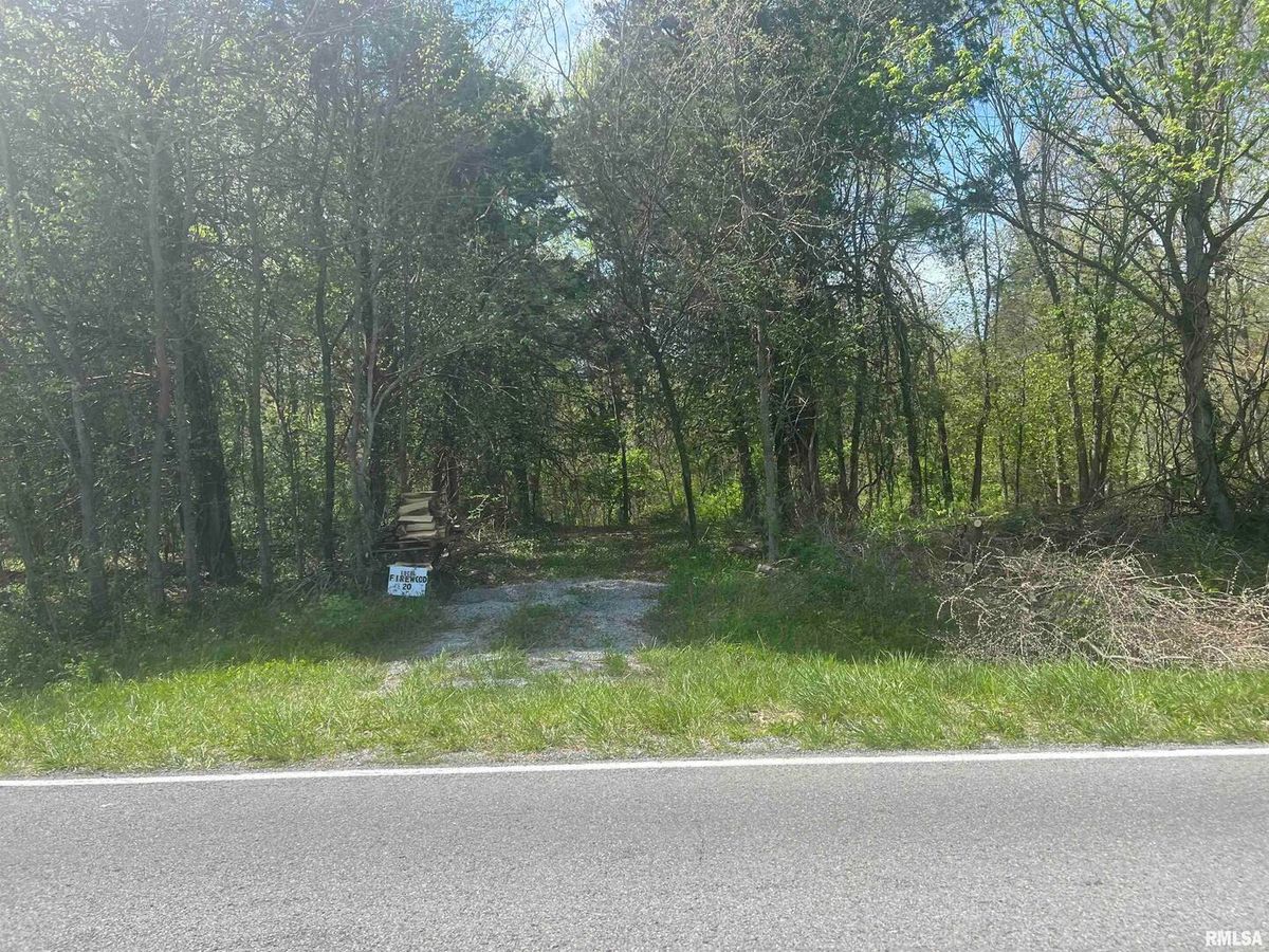 Lots 1 & 2 Grassy Road, IL 62901