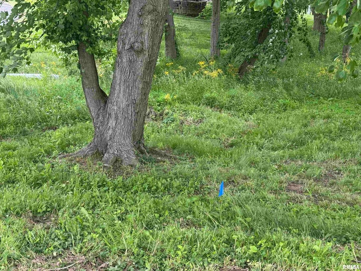 000 DOUGLAS Street, Marion, IL 62959