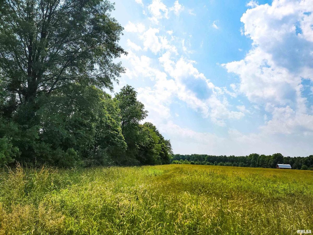 199 Hanging Rock Road, Flora, IL 62839-0000