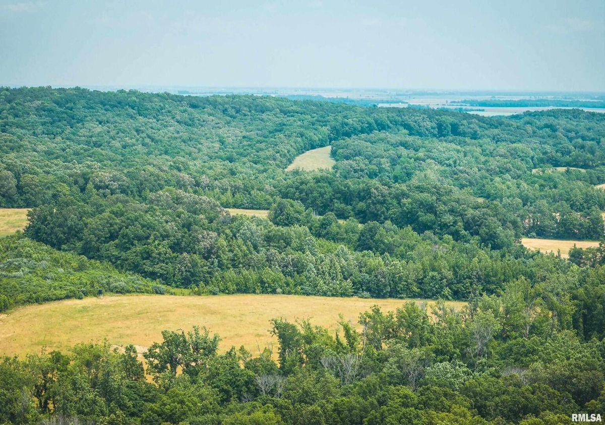 3485 Coyle Lane, Equality, IL 62934