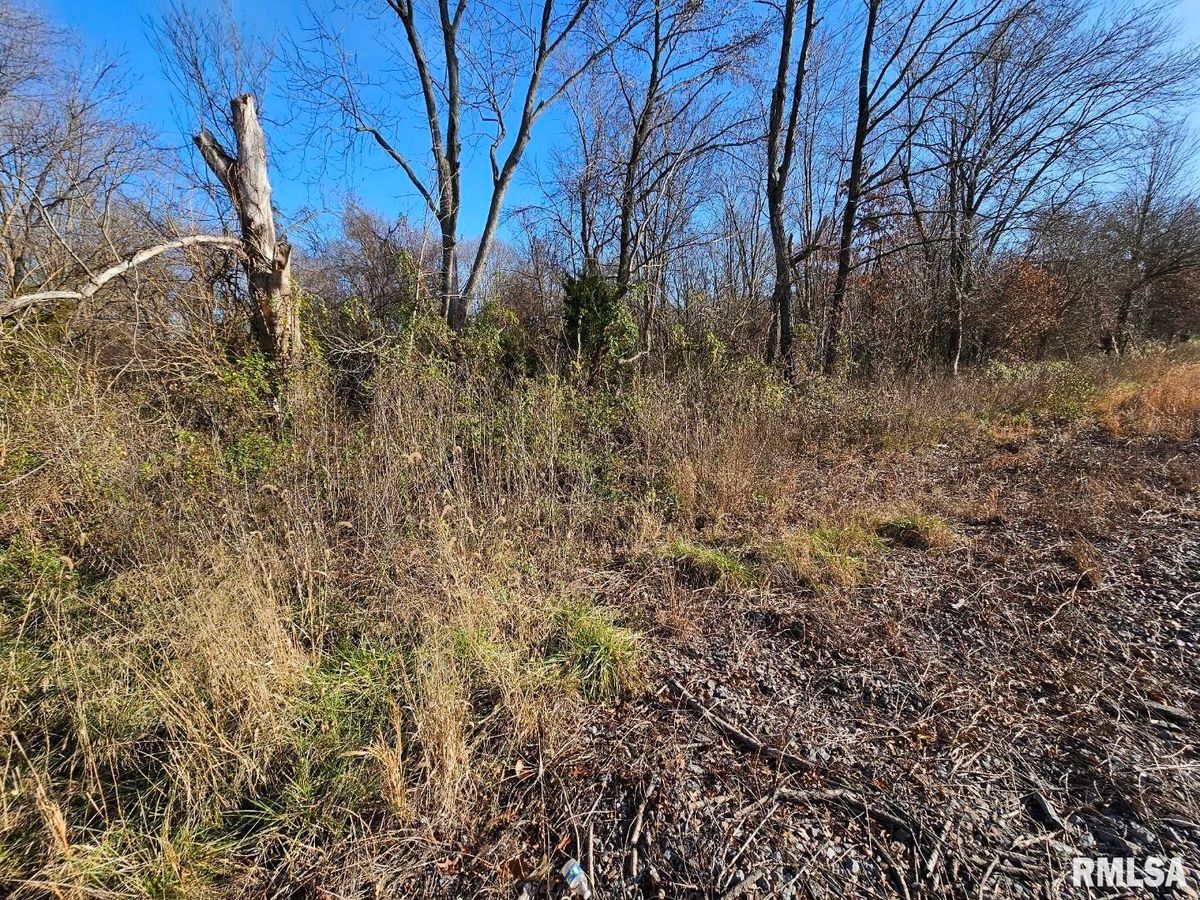 0000 N IL 37 Highway, Bonnie, IL 62816
