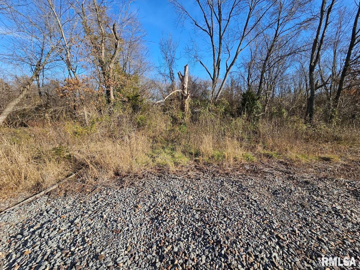 0000 N IL 37 Highway, Bonnie, IL 62816