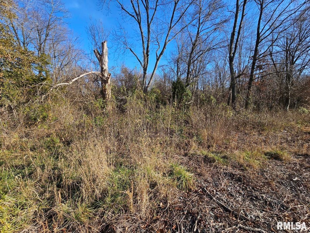 0000 N IL 37 Highway, Bonnie, IL 62816