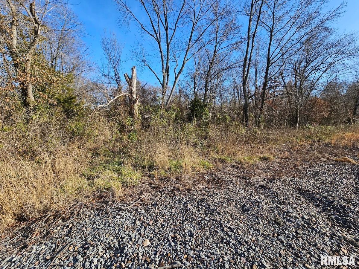 0000 N IL 37 Highway, Bonnie, IL 62816