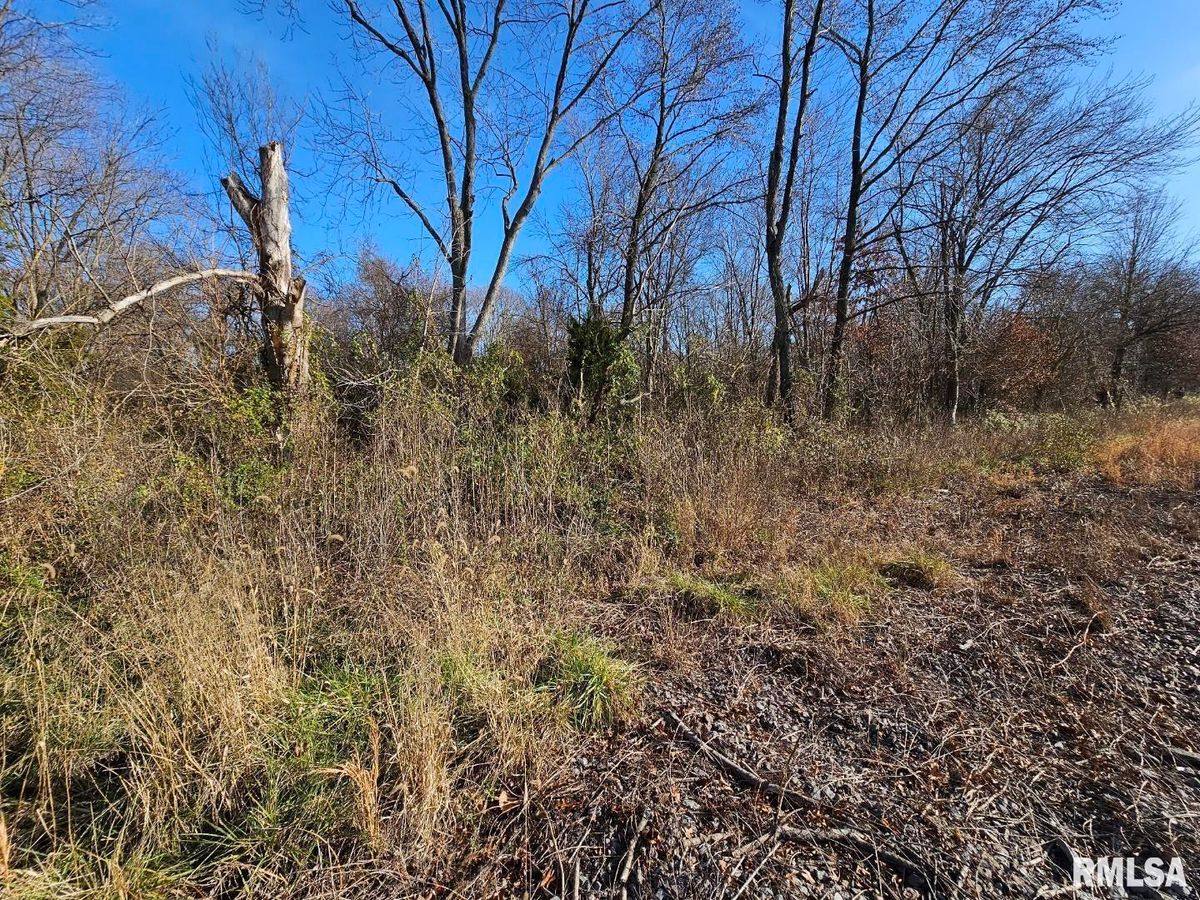 0000 N IL 37 Highway, Bonnie, IL 62816