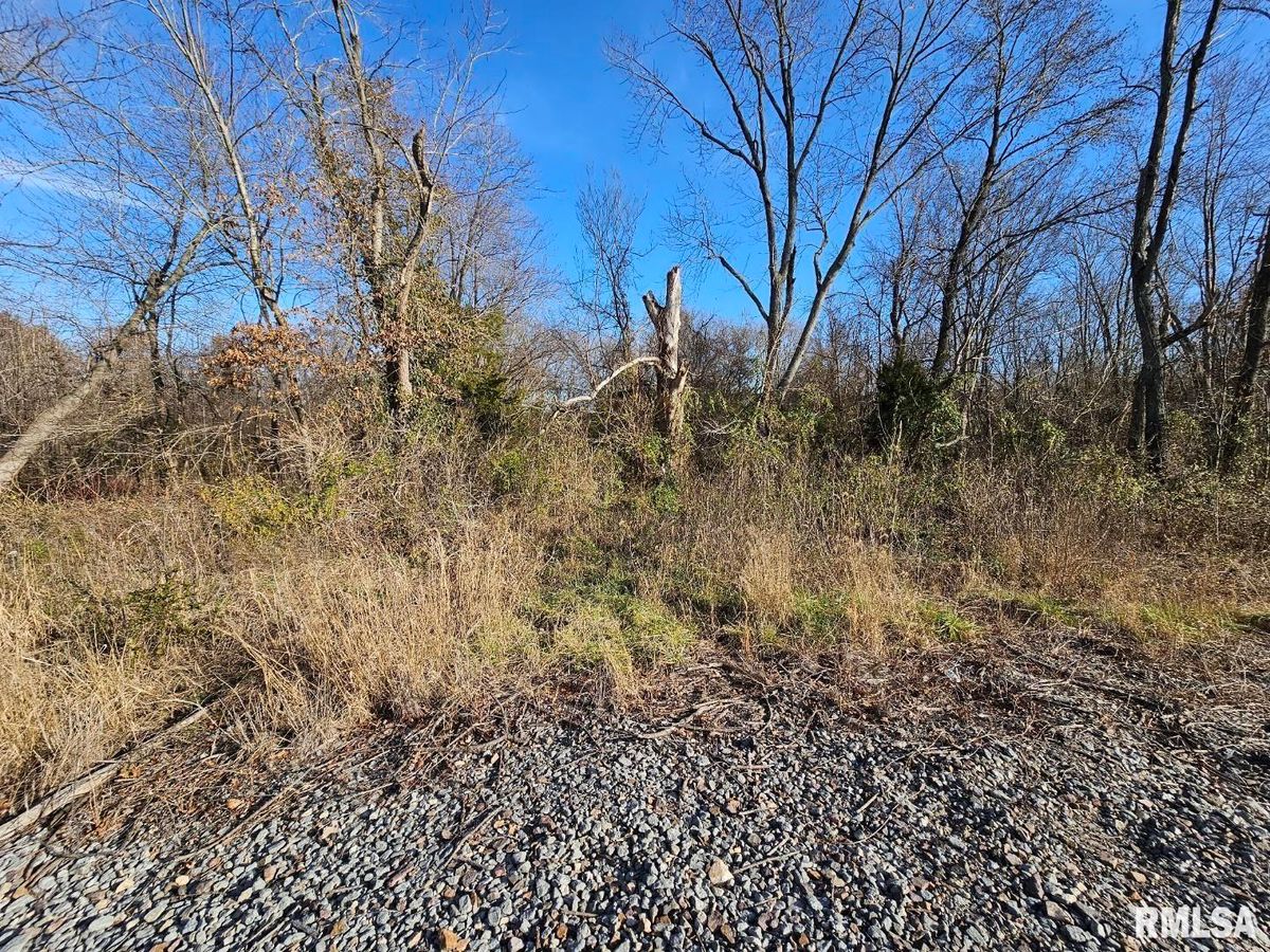 0000 IL 37 Highway, Bonnie, IL 62816