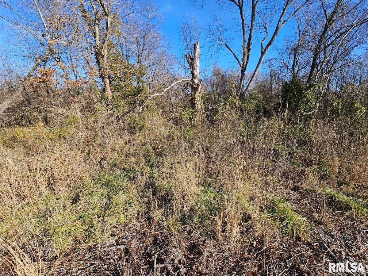 0000 N IL 37 Highway, Bonnie, IL 62816