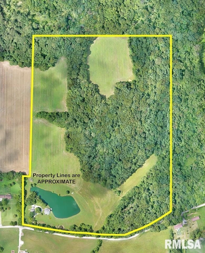 14290 WINDSONG Road, Mt Vernon, IL 62864