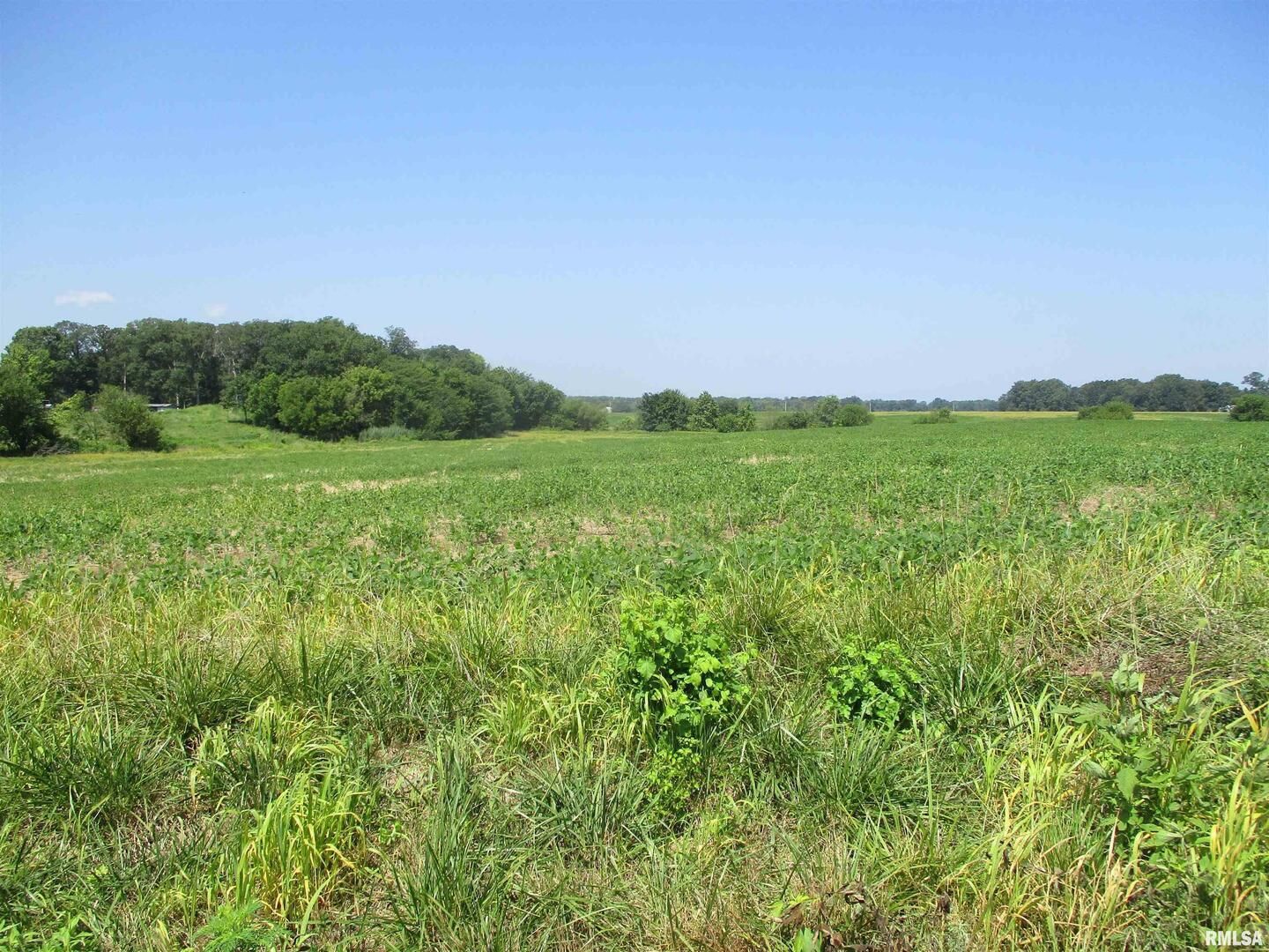 0000 Bean Road — Whittington, IL 62897