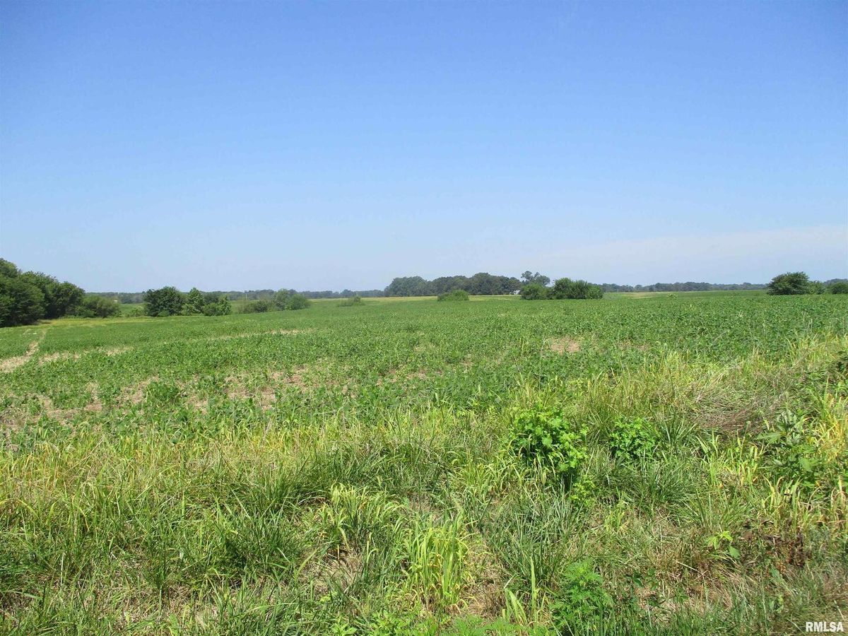 0000 Bean Road, Whittington, IL 62897