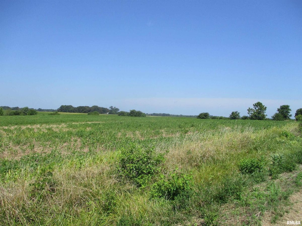 0000 Bean Road, Whittington, IL 62897