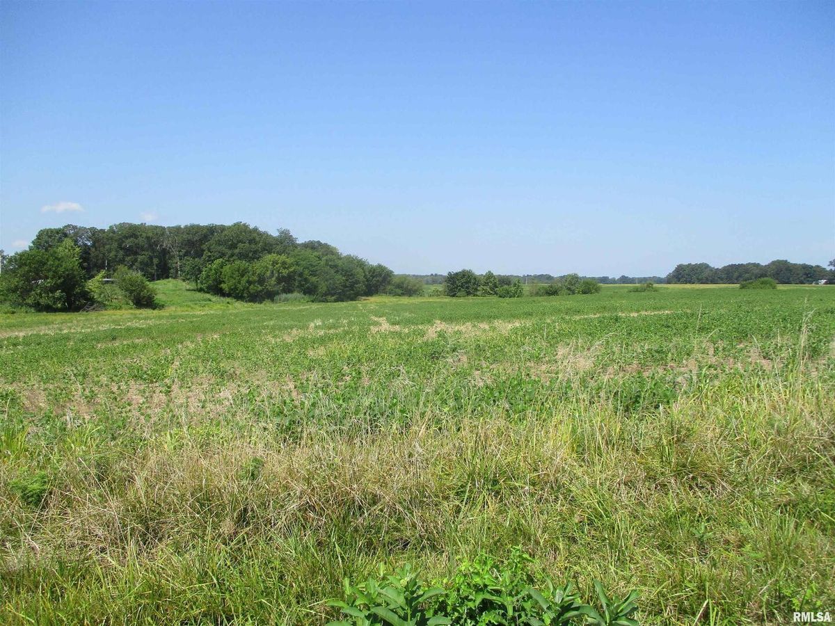 0000 Bean Road, Whittington, IL 62897