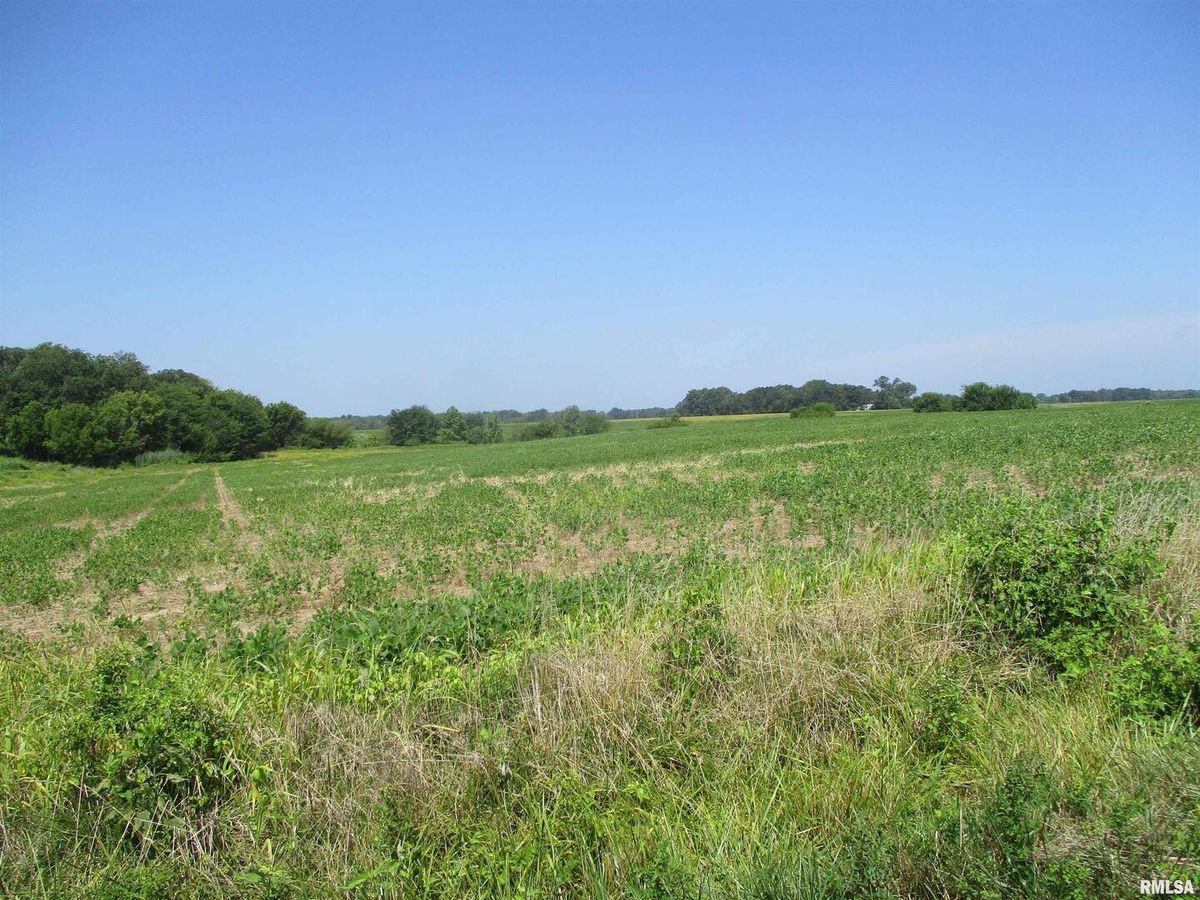 0000 Bean Road, Whittington, IL 62897